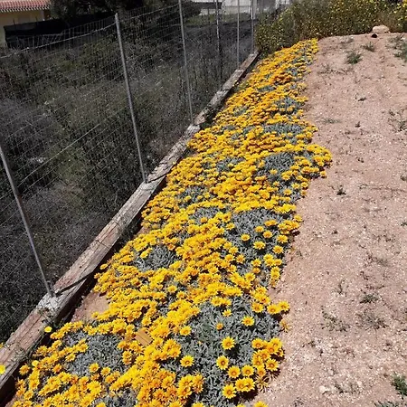 Delle Gazanie -camera In -vista Panoramica Sul Golfo *