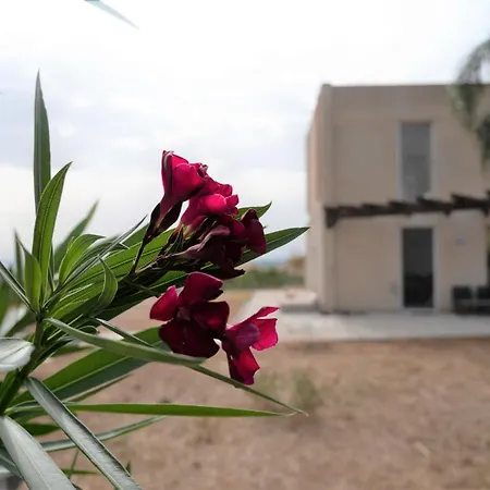 Delle Gazanie -camera In -vista Panoramica Sul Golfo Pansiyon Quartu SantʼElena